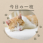 SOUMA0416