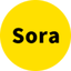 SoraInfo