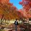 Rai_design