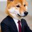 柴犬　ユウタ