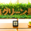ニコグリーン
