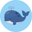 えるクジラ