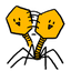 Phage