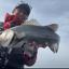 釣り人は編集者