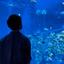 ゆうだい　映像クリエイター