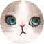 ちゅーる777
