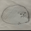 すめう。