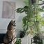meko_interrior