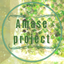 ラルドーAmase projectー