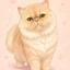MAKOTO猫の手サポート