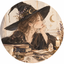 Elpida Grimoire