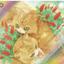 森林のねこもり
