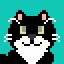 もすこ