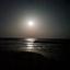 ホイッププリン
