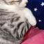 Lutia