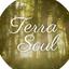 Terra Soul  灯音（Toon）