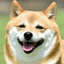 〇　カズ　〇