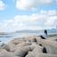 linglan0125
