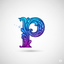 pythoneer