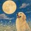 WebStudio Moonlight