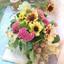 flower0223