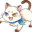 キャットスター☆