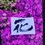 フリースタイルShoDo書道