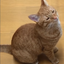 アズアズ130130