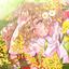 涼森 きなこ