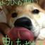 茶々丸さん