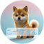 こーちゃん17