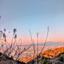 Premiere Pro効率化