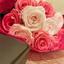 momo｜Encraft Design