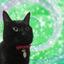 幸運の黒猫★あなたのトリセツ丁寧に見ます