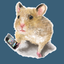 texp_LibOra