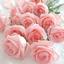 ＊Lumiere Rose＊