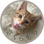 さくらもち23