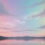 FelixFelix