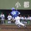 【現役社会人野球選手】文武両道専門家