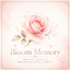Bloom Memory