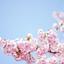 iammai8284