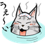 yukimaru21