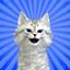 長崎弁猫