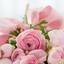 Lily073
