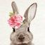 音兎 おと