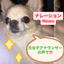 ことばの郵便屋さん