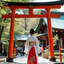 お金神社●開運の道案内人〜羽衣〜はごろも