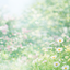 tomoko0818