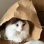 さとうにた