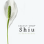 Shiu design